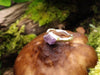 Rockface Raw Amethyst Ring sitting on a mushroom