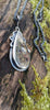 Sterling silver pendant with Java moss agate stone which looks like a little underwater coral reef sceen.