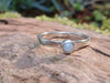 Silver and Amazonite stacking ring Sitting on a mossy Woodland log in the sunlight.