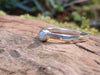 Silver and Amazonite stacking ring Sitting on a mossy Woodland log in the sunlight.