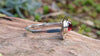 Sterling silver and garnet flat topped ring sitting on a log in the forest.