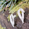Sterling silver Femscape earrings sitting on a mossy log.