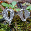 Sterling silver Femscape earrings sitting on a mossy rock.