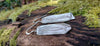 Medium1 melt drop silver earrings on a mossy log