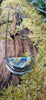 Oxidised silver half moon and chain necklace with tendrils. Sitting on a mossy log.