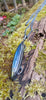 Oxidised silver pendant with a long oval Labradorite stone and a chunky chain sitting on a mossy log.