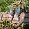 Leaf shaped labradorite stones with silver stems. oxidised silver stud earrings with a dreamy elfin quality sits on a weathered piece of wood, the labradorite stones glinting blue in the sunlight. Shown with the leaves facing upwards and the stems facing in facing down.
