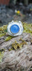 A silver ring with a round blue cabochon gemstone surrounded by silver tendrils photographed resting on a mossy log 