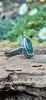 An oxidised silver ring with an oval green moss agate bezel set stone containing seaweed patterns, resting on a mossy log with a blurred garden background. The stone  is surrounded by seaweed tendrils which run down one side of the chunky D shaped band. Side view showing tendril running down the band