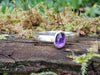 Slim amethyst stacker sitting on a mossy log 