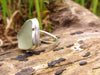 Soft Green Seaglass Ring