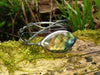 Black Silver twisted tendril bangle with blue green flash labradorite