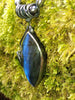 Labradorite Leaf Tendril Pendant