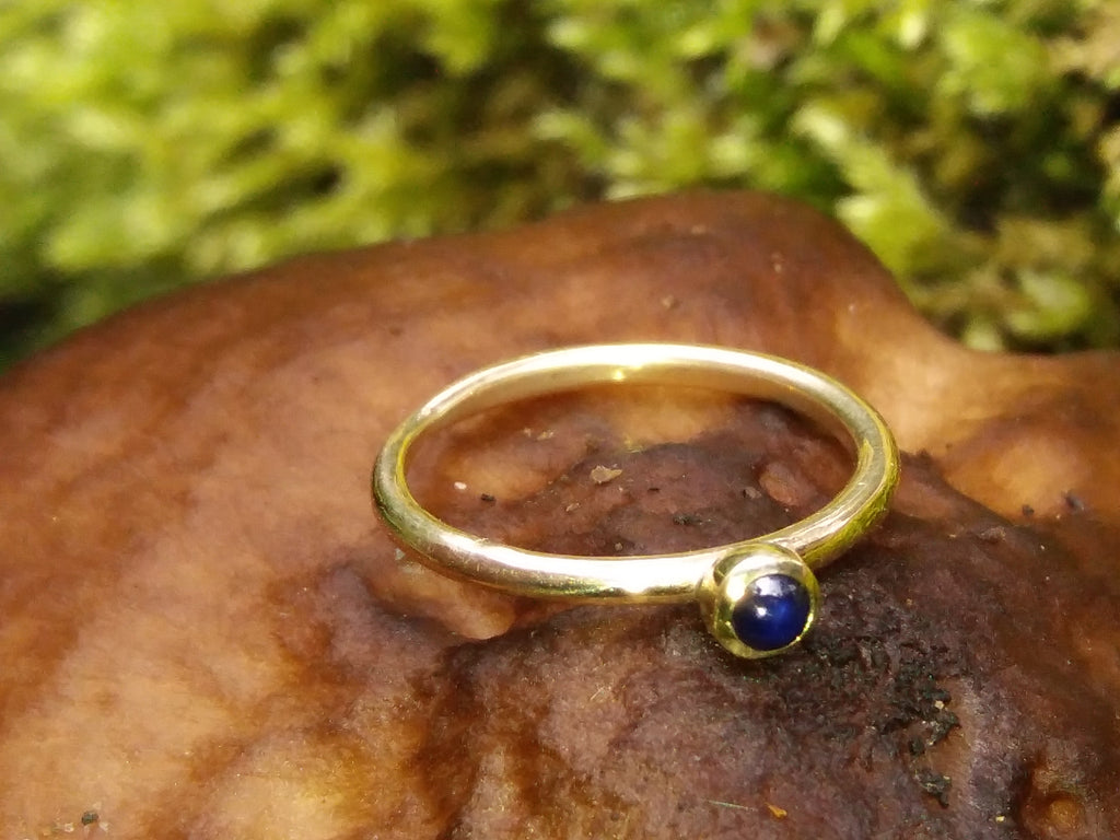 Blue Sapphire Tiny Gold Stacking Ring sitting on a mushroom in the sunlight