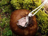 Raw Rose Quartz Pendant on chunky spiga chain, sitting on a mushroom
