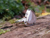 Sliver and rutilated quartz ring