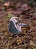 sterling silver ring with  teal green seaglass triangle  surrounded by  seaweed tendril detail which wanders down onto the shoulder of the D shaped band, sitting on a mossy log. 