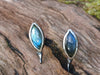 Leaf shaped oxidised silver stud earrings with a dreamy elfin quality sits on a mossy log, the labradorite stones glinting blue in the sunlight.