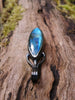 Large oval Labradorite and oxidised sterling silver pendant on it's own, with no chain sitting on a mossy log, the labradorite stone bud is clasped by black tendrils  and glints blue in the sunlight.