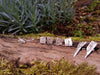 4 pairs of melt textured silver studs sitting on a mossy log in the sunshine.