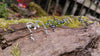 Sterling silver and oxidised silver studs 4 pairs sit on a mossy log