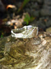 Sterling silver landscape ring