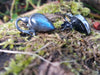 Black Sterling silver and labradorite studs