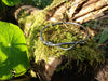 Black sterling silver bangle