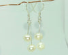 Freshwater pearl earrings