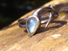 labradorite flash ring