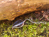 Tendril bud silver pin