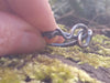 silver tendril ring