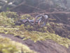 silver tendril ring