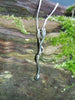 Tendril Tangle Pendant Large