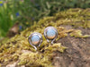 white tendril berry studs - sterling silver and opalite